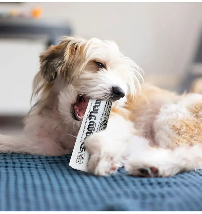 Squeaky Dog Toy for Chewing and Training