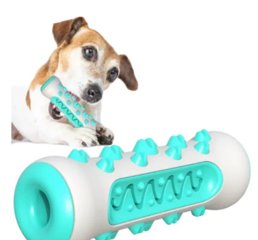 Pet Dog Chew Toy & Molar Toothbrush