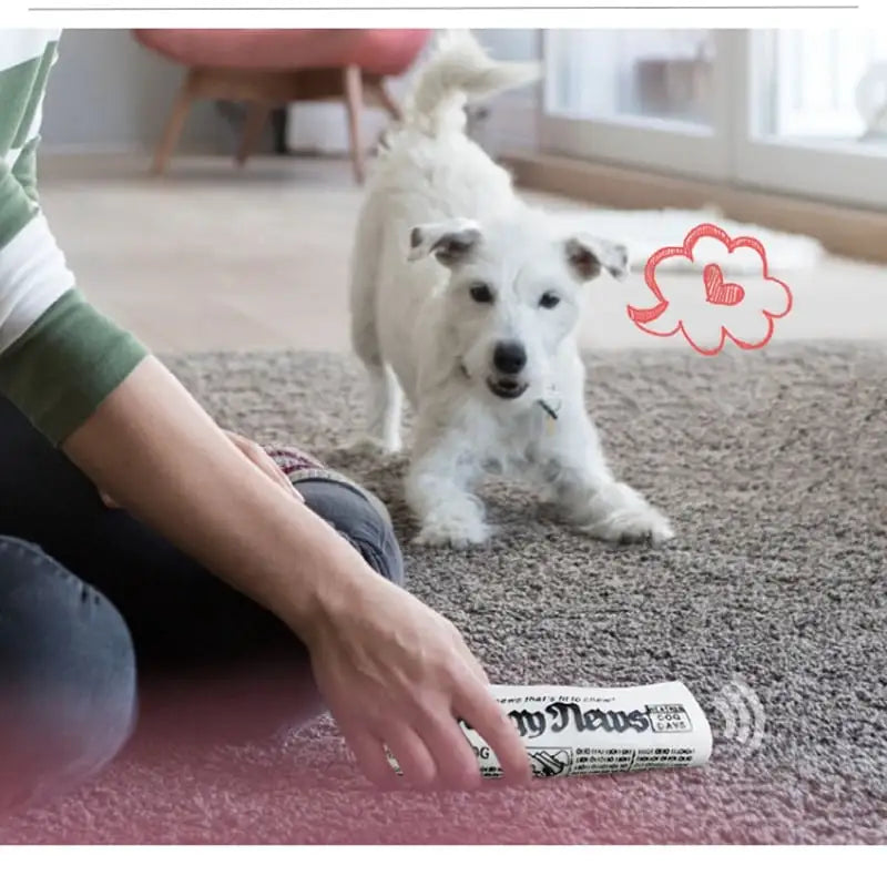 Squeaky Dog Toy for Chewing and Training