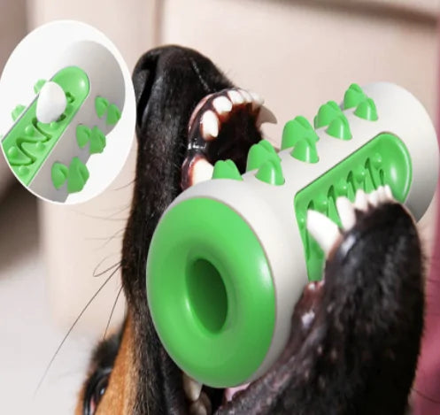Pet Dog Chew Toy & Molar Toothbrush
