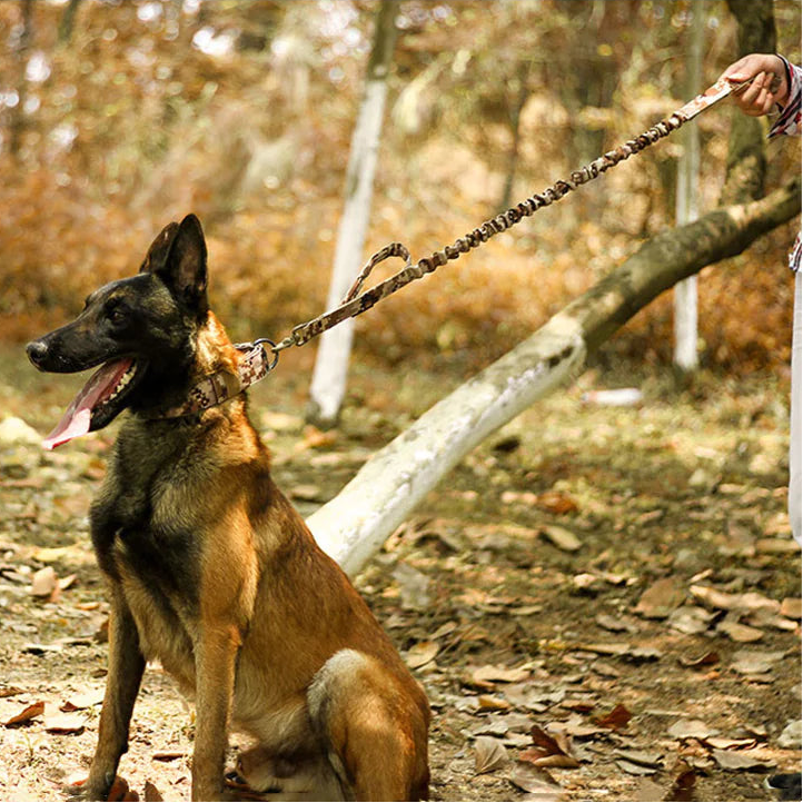 Heavy Duty Dog Collar K9 Military With Metal Buckle