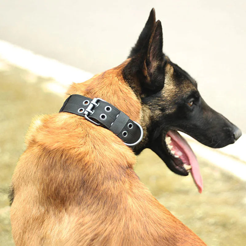 Heavy Duty Dog Collar K9 Military With Metal Buckle
